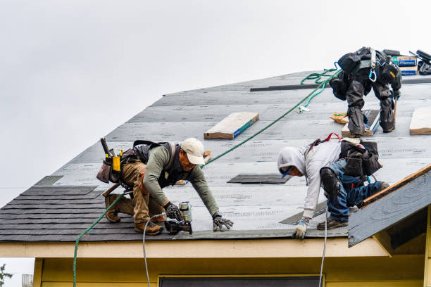 Professional Roof Installation technician working in Stockport, IA